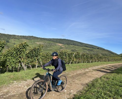 Séjour à vélo en Alsace ALSASMARTOURS